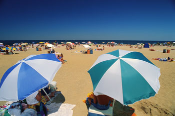 Beach Umbrellas